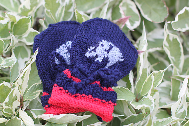 Elephant Mitts