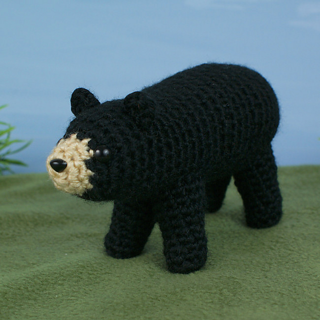 Black Bear