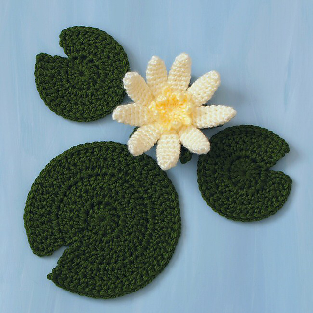 Water Lily