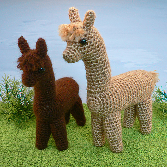 Alpaca