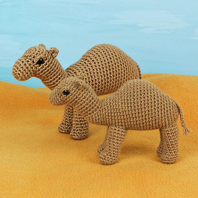 Camel