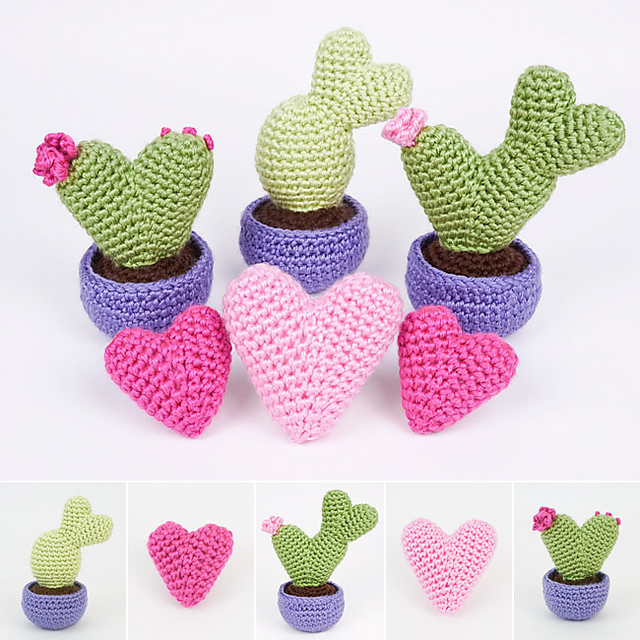 Heart Cactus Collection