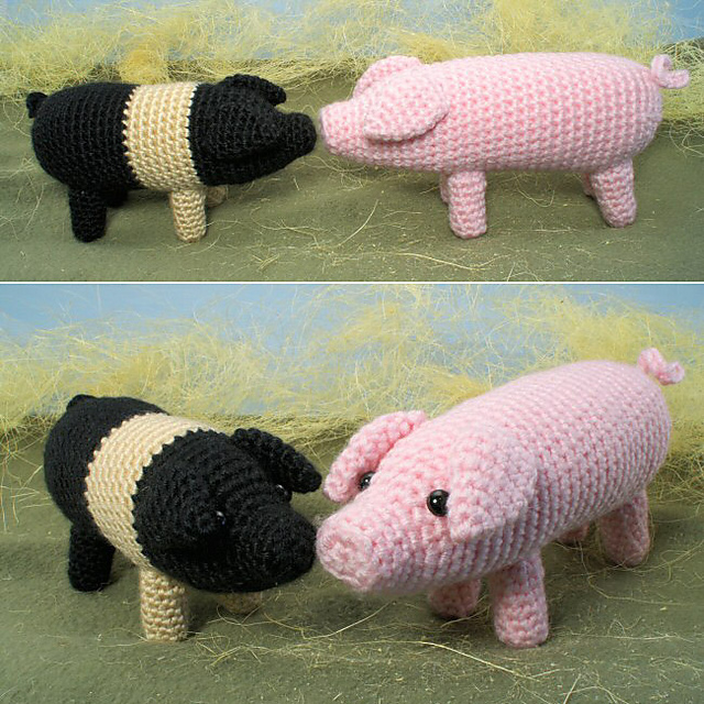 Farmyard Pigs