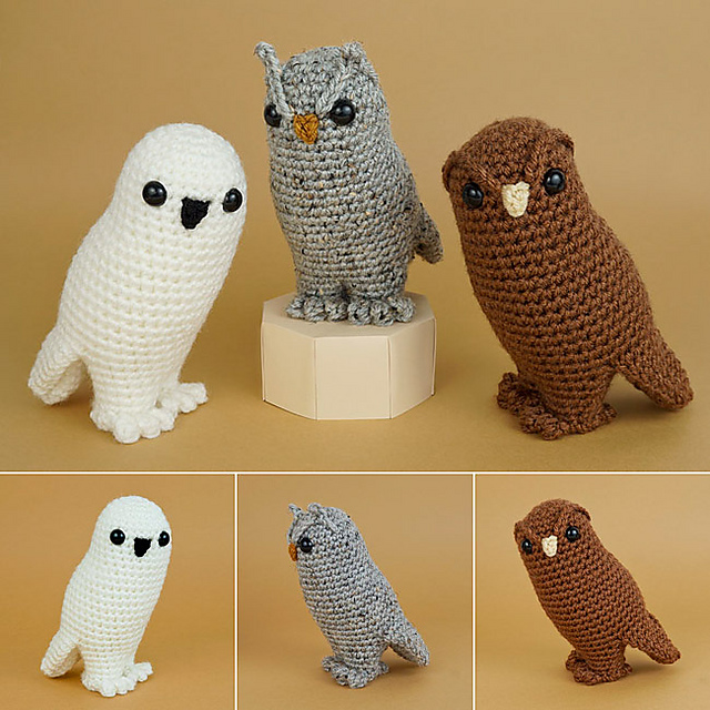 Owl Collection