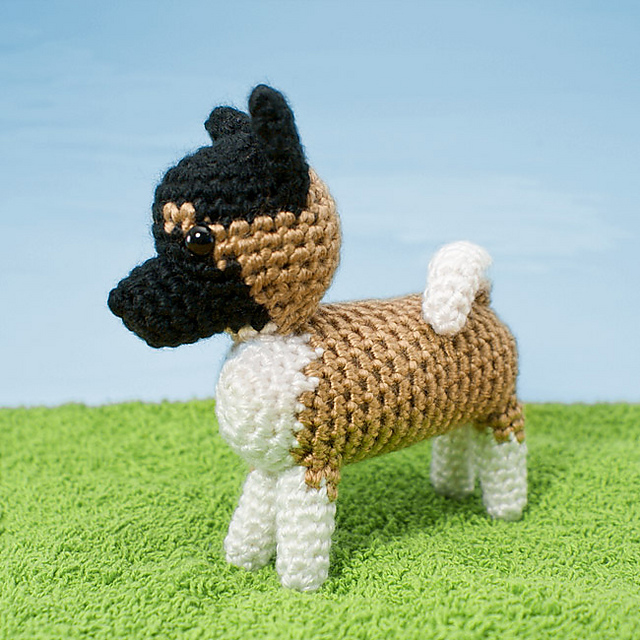 AmiDogs Akita