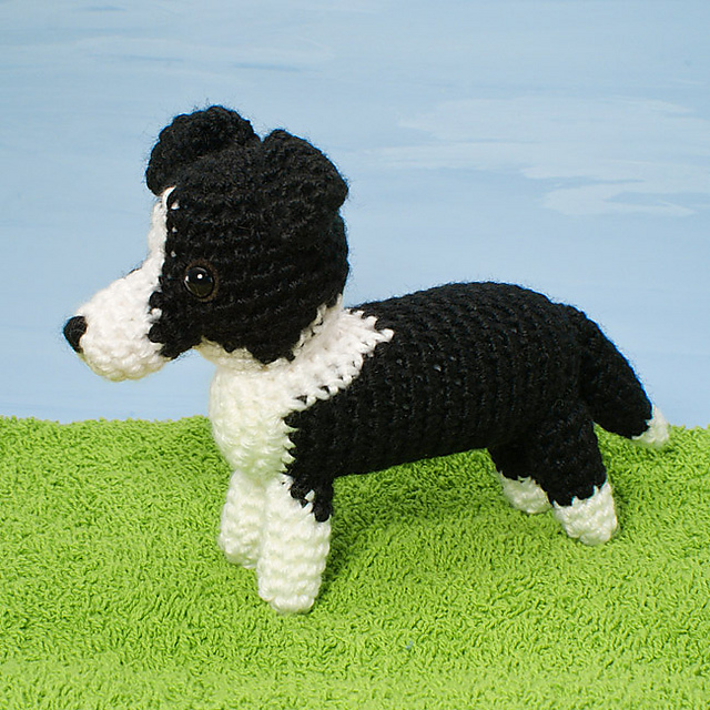 AmiDogs Border Collie