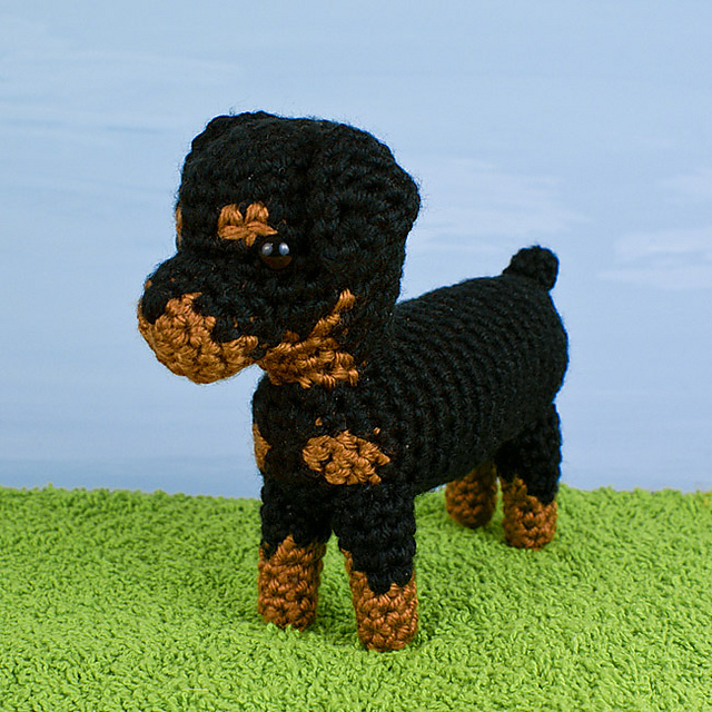 AmiDogs Rottweiler