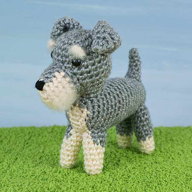 AmiDogs Miniature Schnauzer