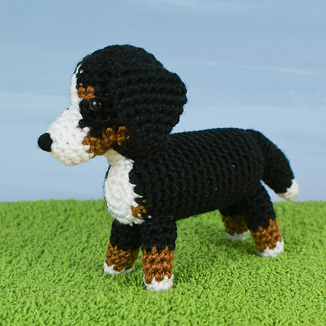 AmiDogs Bernese Mountain Dog