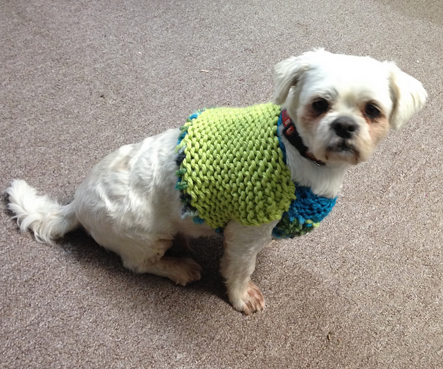 Knitting a Dog Sweater the Easy Way