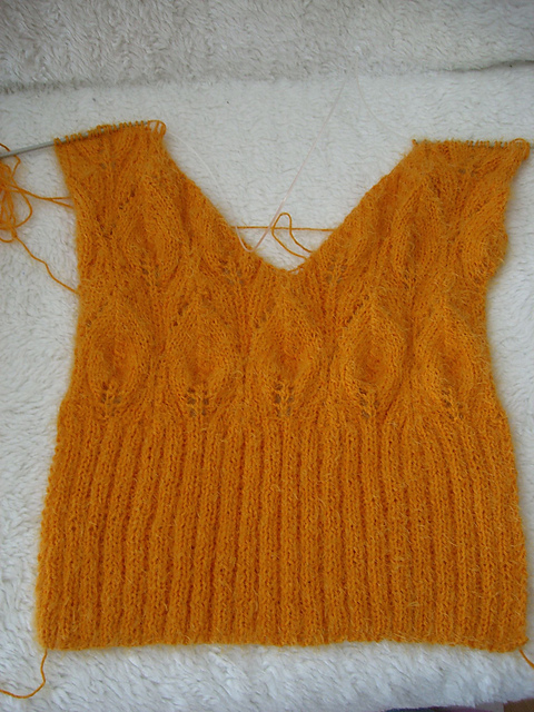 Gilet Rosidée #7