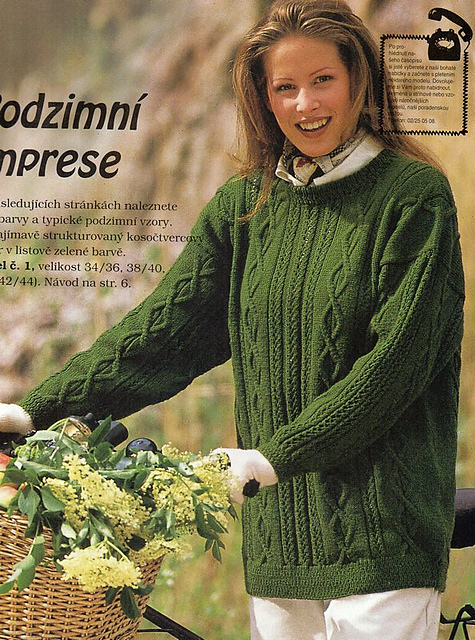 # 01 Grüner Musterpulli