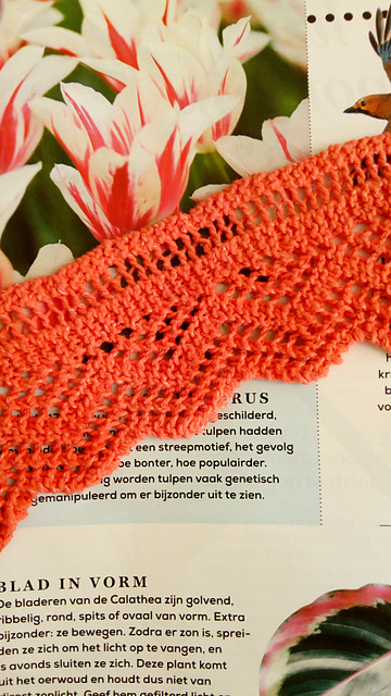 Martine’s Point Lace