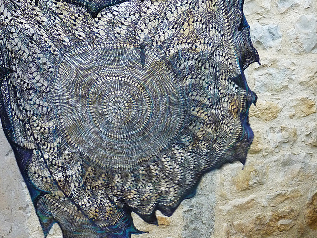 Mésange noire pi shawl