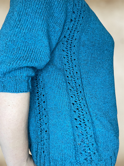 Pull Mésange