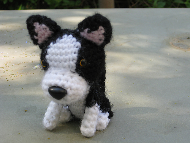 11 French Bulldog