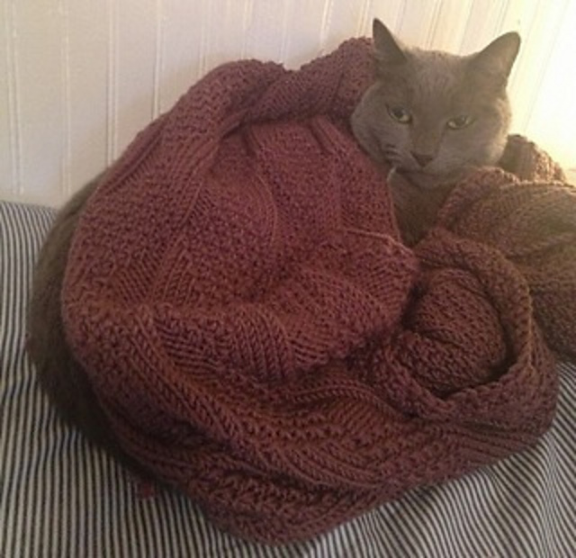 Cozy Stole