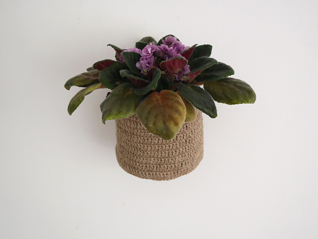 Plant hanger