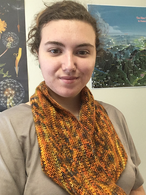 Single Crochet Cowl