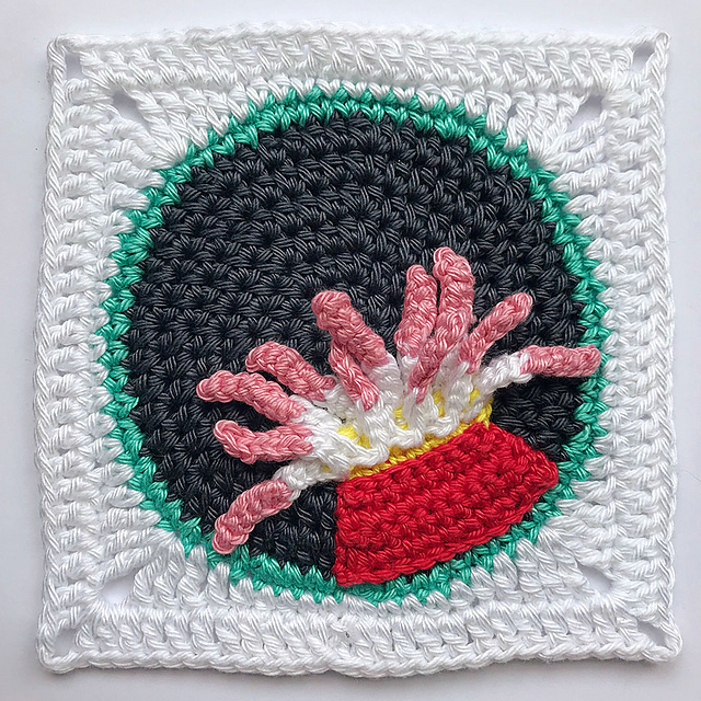 Anemone