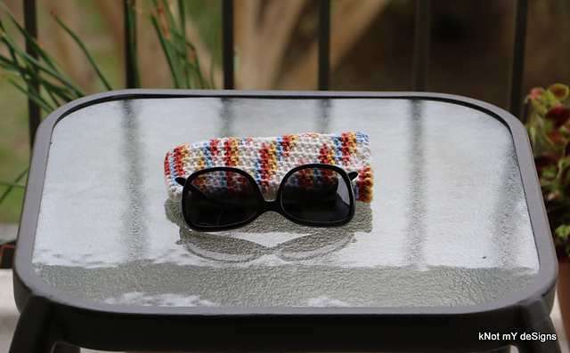 This N That Sunglasses Cover