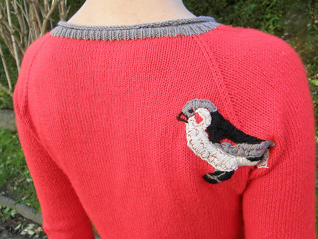 Zebra Finch