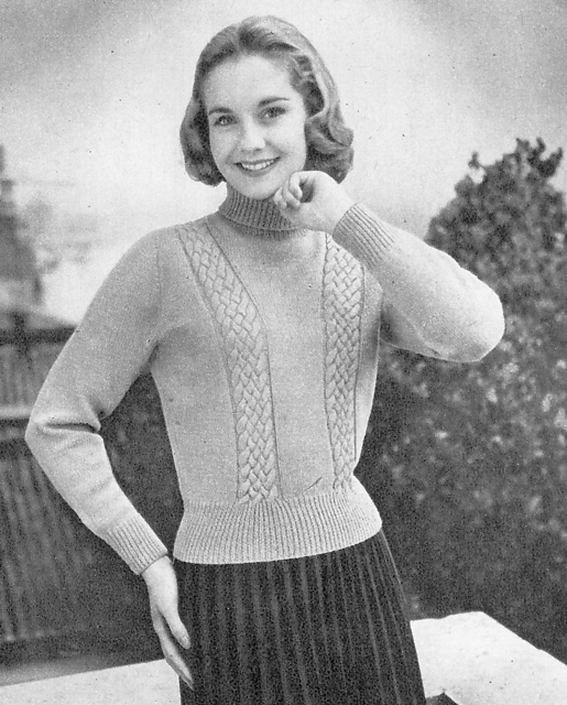 Warm Polo-Neck Jersey With Two Plait Panels