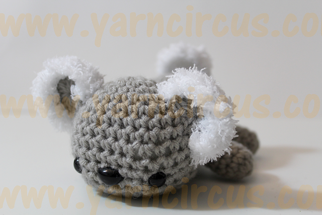 Lazy Animal Series: The Koala