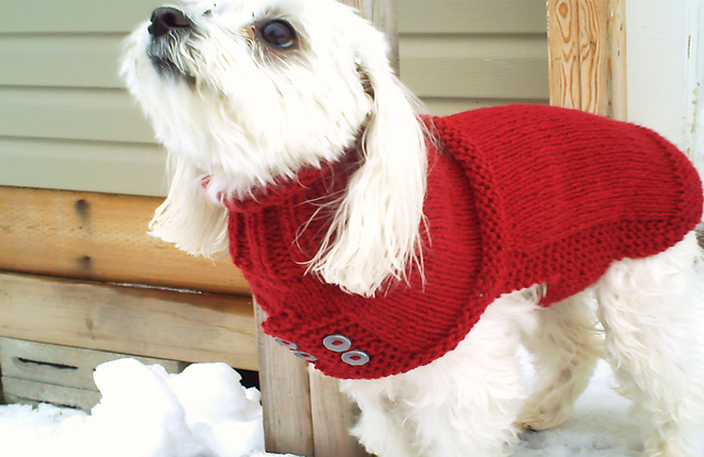 Sophie's Sweater