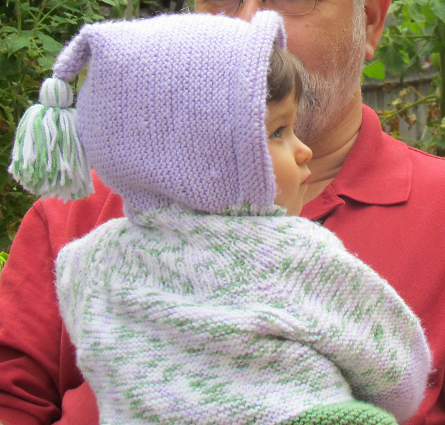 Hooded Cardigan No. 3025