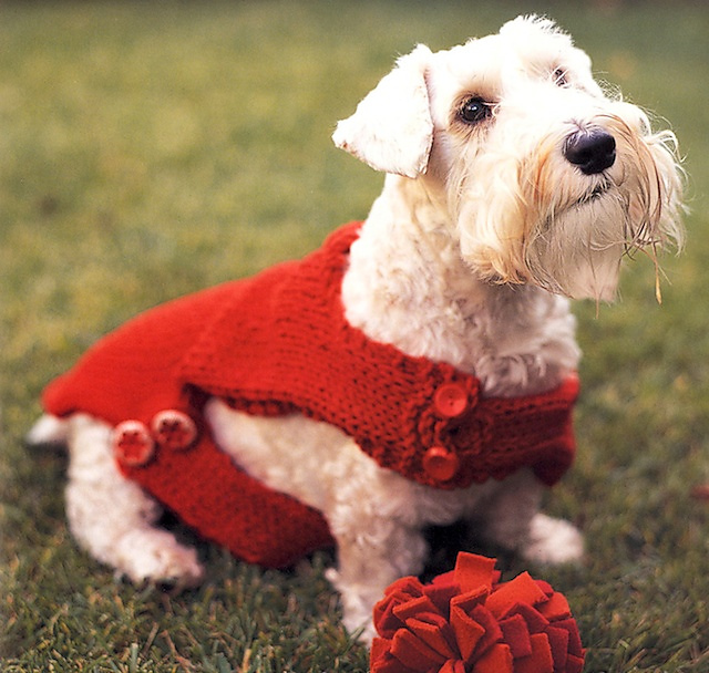 Dog Sweater