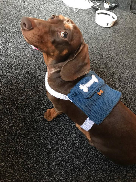 Small Dog Back Pack Bag