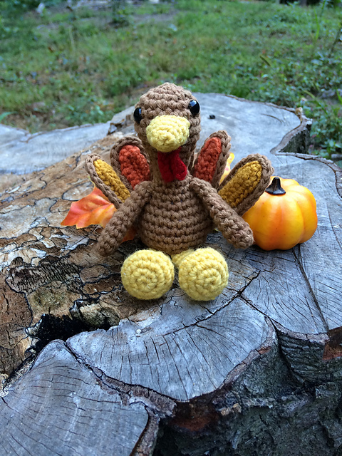 Tiny Little Turkey