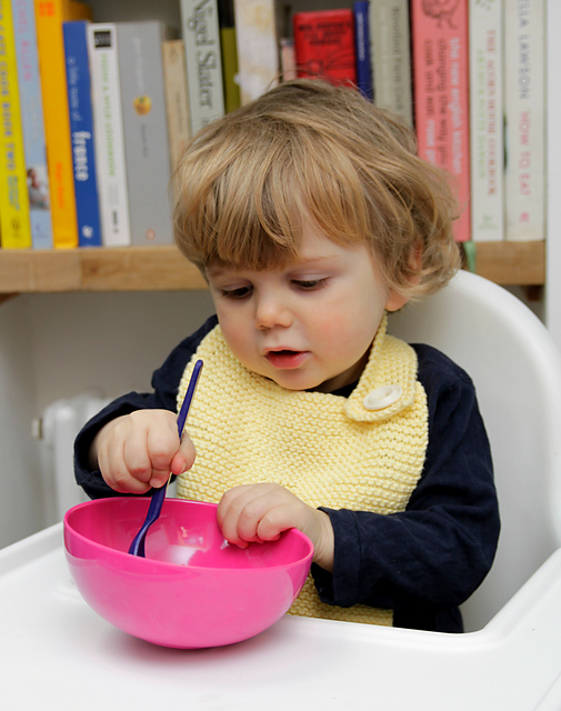 Baby Bib