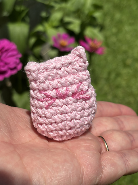 Pocket Kitty