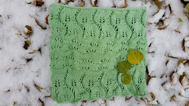 Balsam Poplar Cowl