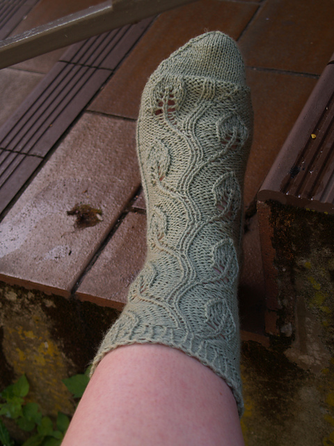 Eucalyptus Socks