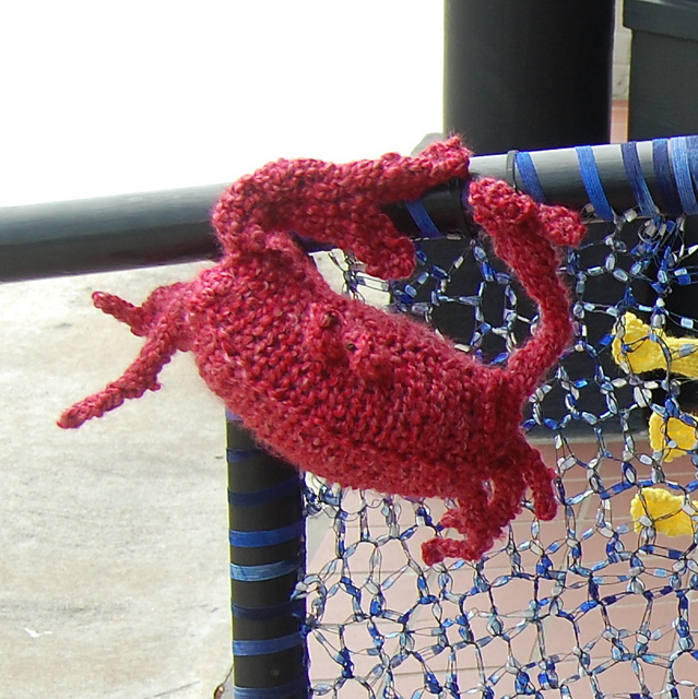 Fiddler Crab