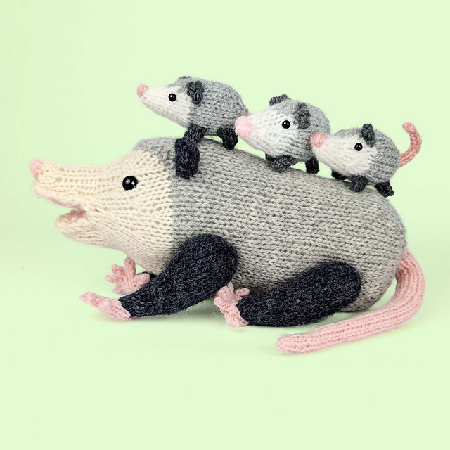 Opossum Family