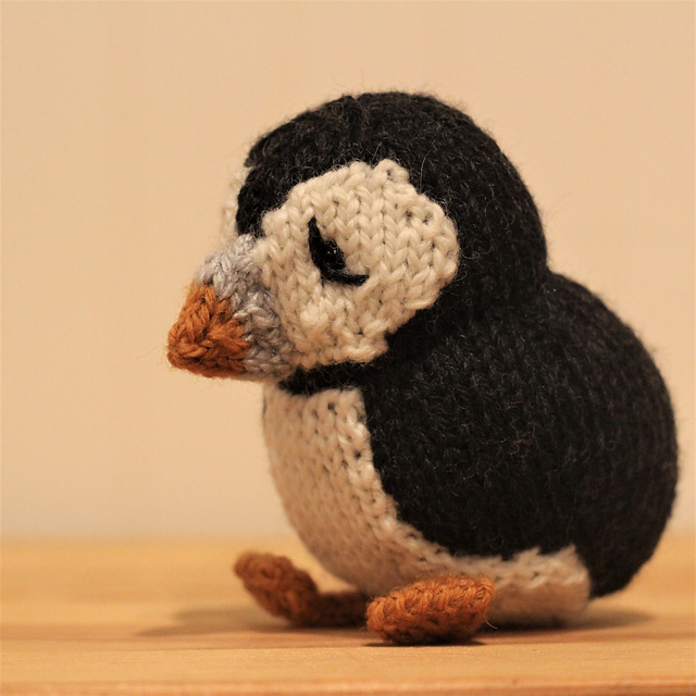 Arctic Puffin