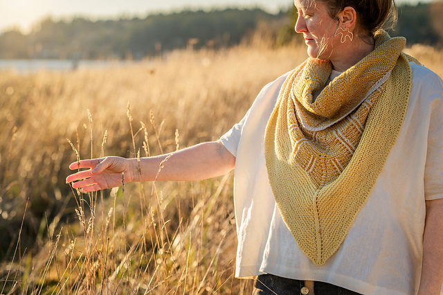 Larix Shawl
