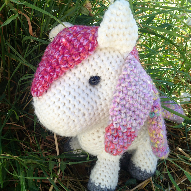 Dacodac the Pony