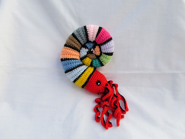 Moni, the Ammonite
