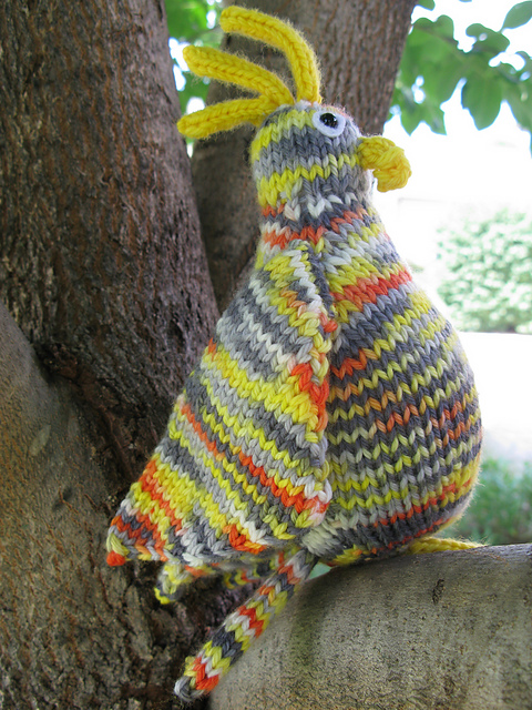Watson the Waltzing Cockatiel