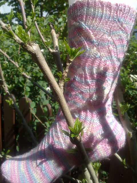Socks Fandance