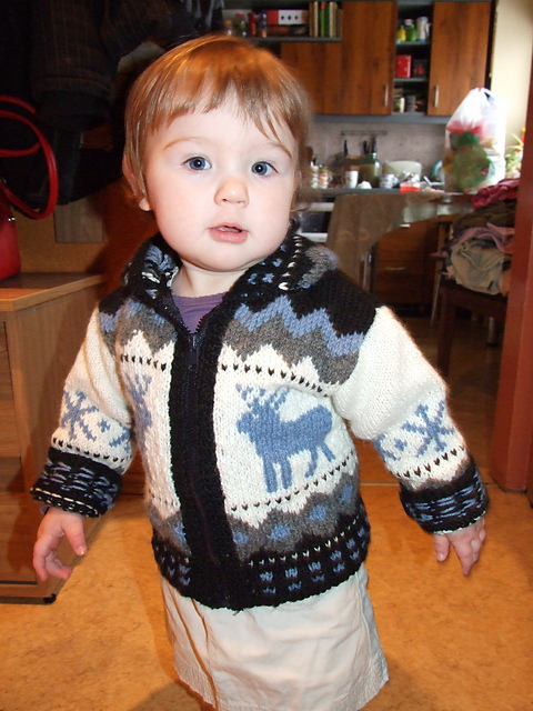 Le gilet  #054-T10-008