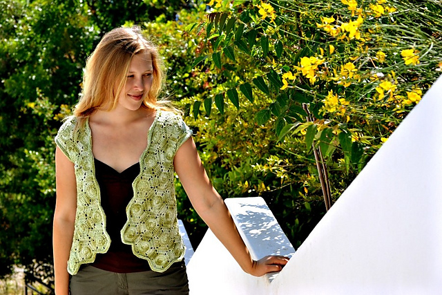 Apiarist Vest