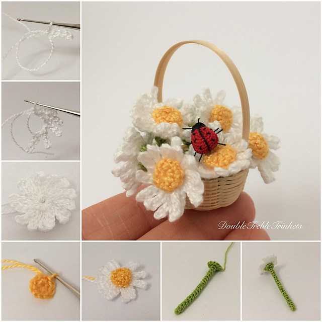 Daisies