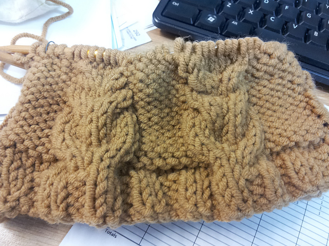 Cabled Owls Hat