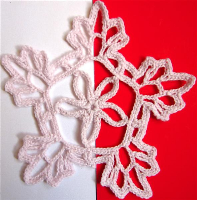 Doily 25 – Lacy Doily 10